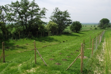 Kategorie dle zaměření - Krajinné prvky