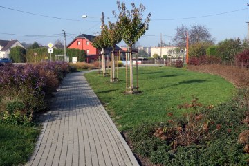 Veřejná zeleň - Markvartovice